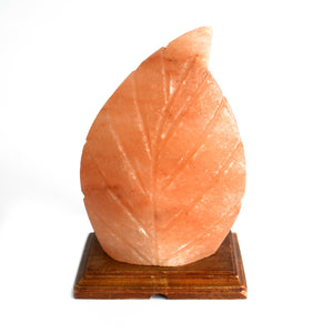 Salt Lamps to improve the air in your home